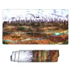 Shiganshina District Mouse Pad & Desk Mat